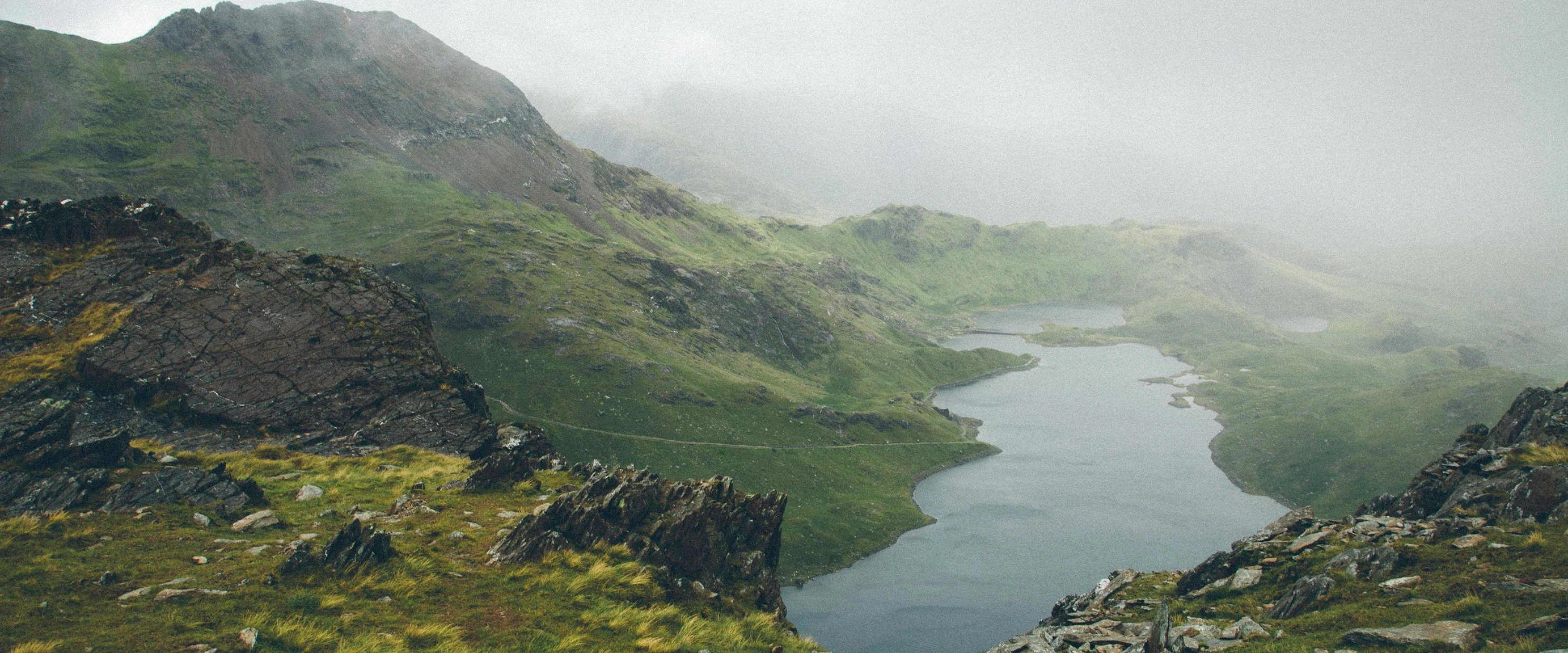 Fitbit Biomes – Environmental Conservation Proposal