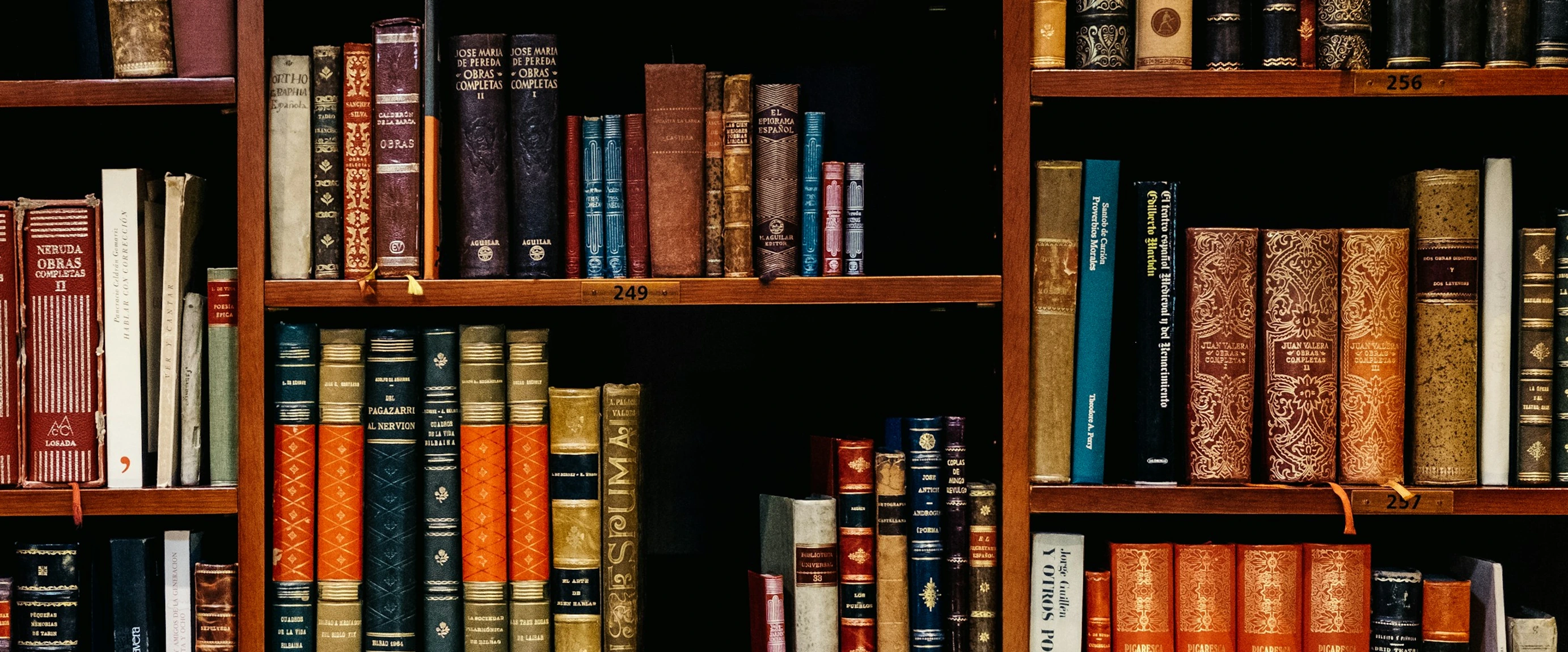 Survive University – Comprehensive Resource Guide