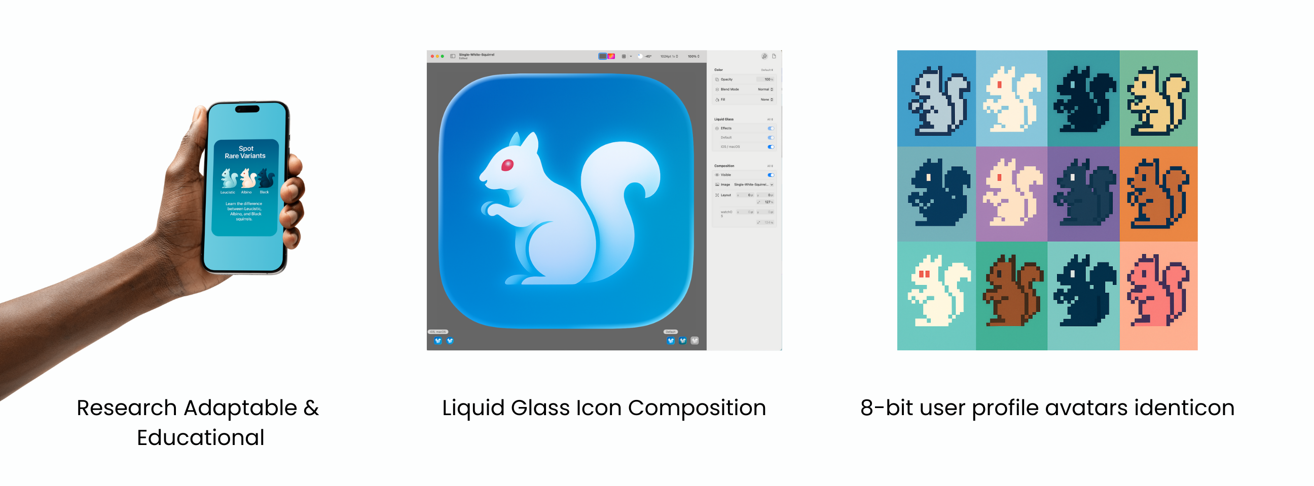 Design System & Identity